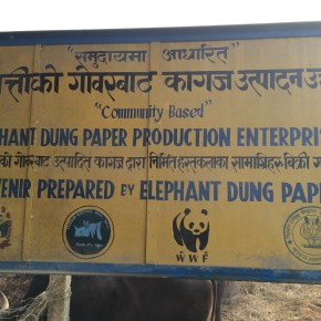 My Time with the World Wildlife Fund in&nbsp;Nepal