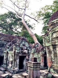 Ta Prohm