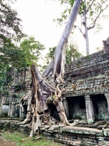 Ta Prohm